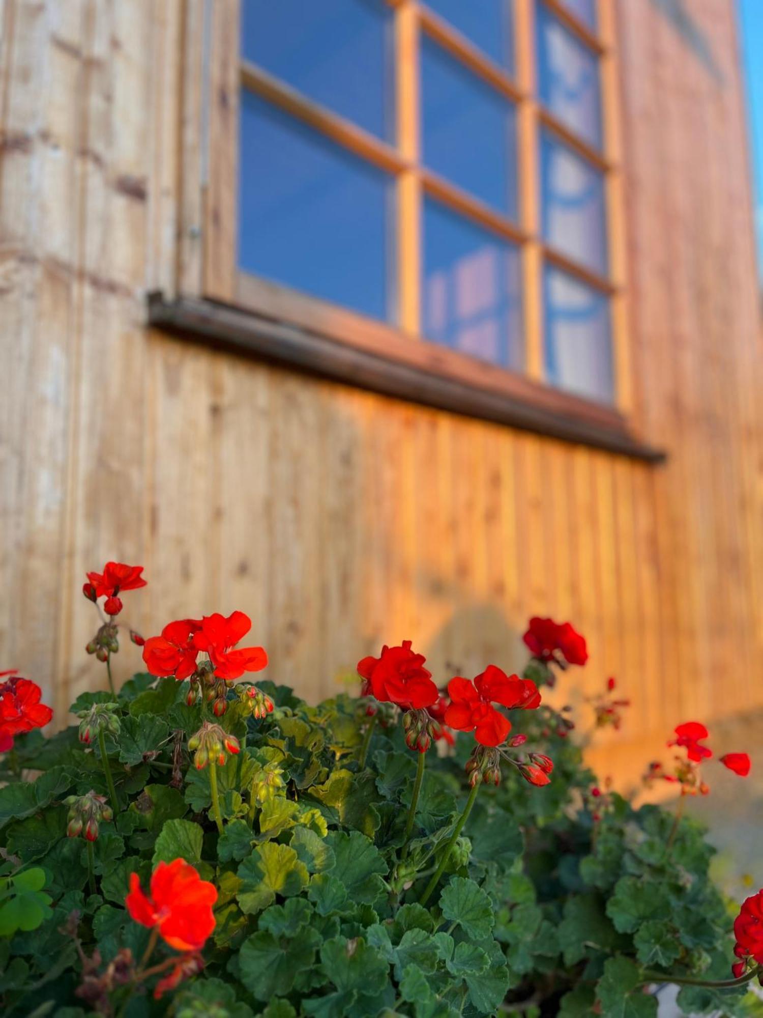 Tiny Wandelraum Ggmbh Holiday home